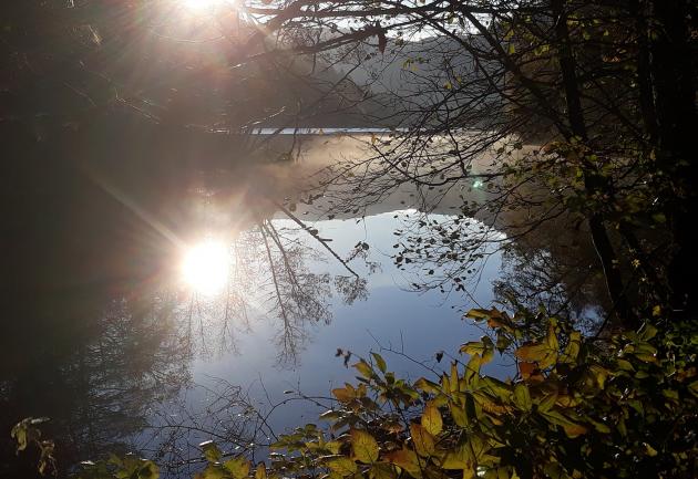 Lac de Longemer 3