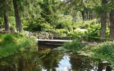 Jardin botanique