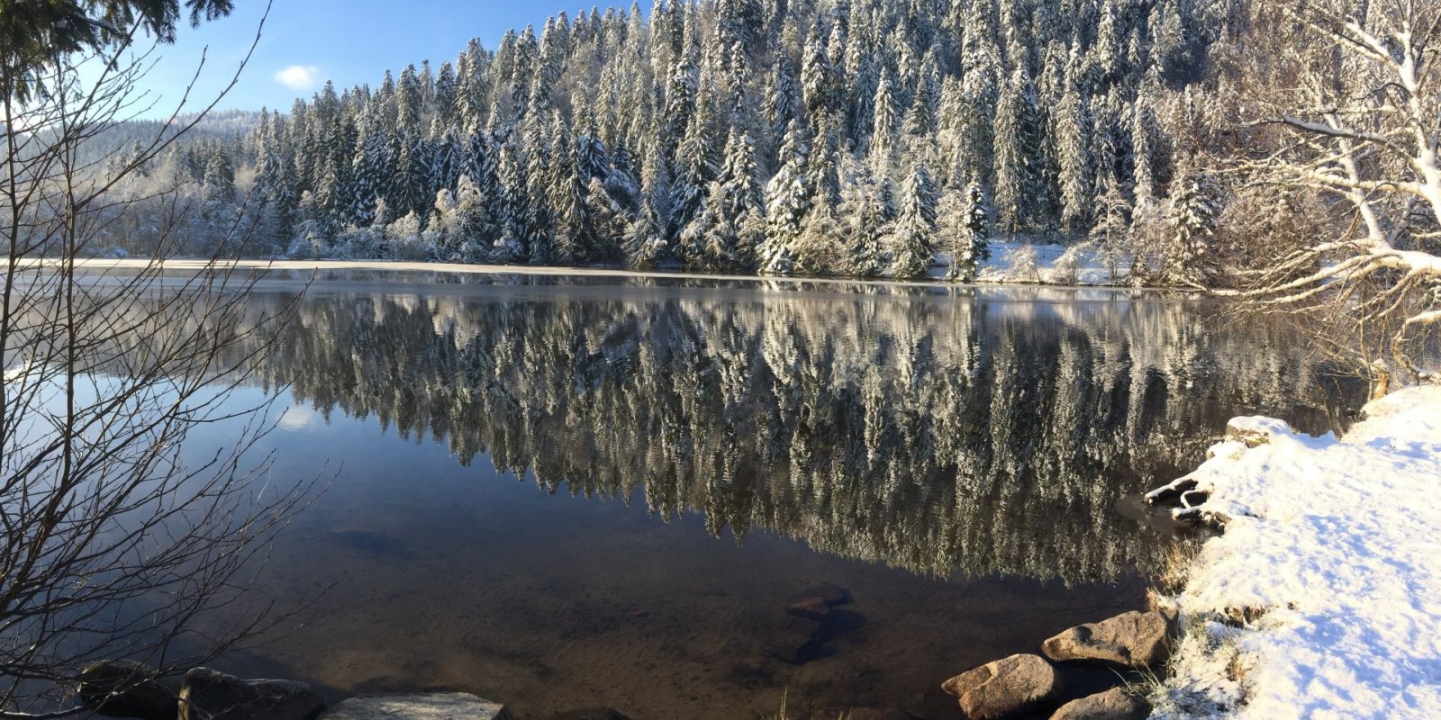 4 star campsite in the Vosges - Domaine de Longemer